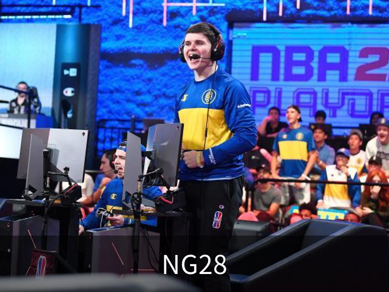 NG28介绍
